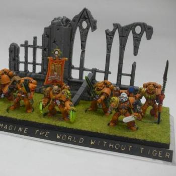 Space Tiger Marines Showcase 2009 by Mad Cat