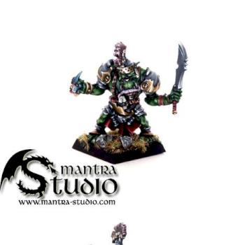 WARHAMMER ORCS&GOBLINS Orc Warboss by MantraStudio