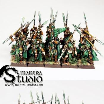 WOOD ELVES Eternal Guard by MantraStudio