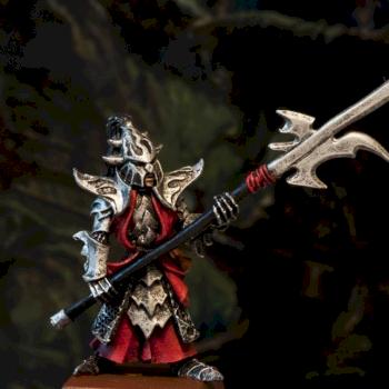 Dark Elf Black Guard by Ceregon