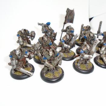 Warmachine Painted Cygnar Sword Knights + Sword Knight Officer & Standard Unit by w013ejb