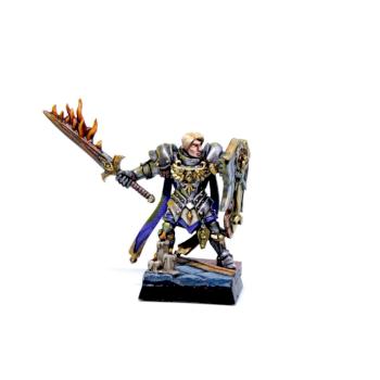Male paladin by Morbid Miniatures