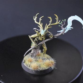 BRANDWYCH SYLVANETH by juanlurockerman