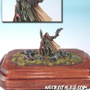 LotR Radagast and his Violent Sapsuckah by EArkham