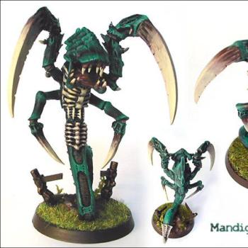 Mandigule by FW Hiigara