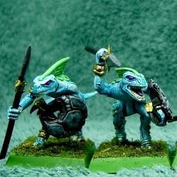 Another Crew of Skinks by Slann mage Tokes