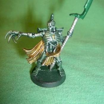Cryptmarshal Kyphon of Locust Regiment by skyfurnace