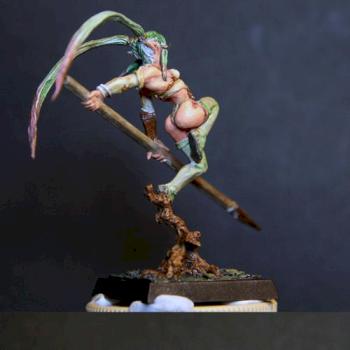 Elf Aedui by vegel