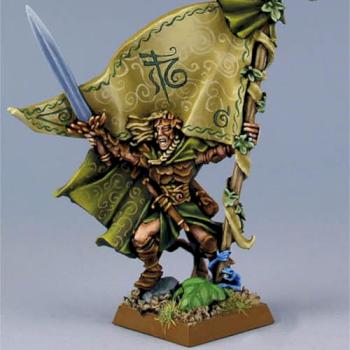 WARHAMMER Wood Elf Standard Bearer by Scibor