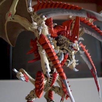 Flügeltyrant by wemse