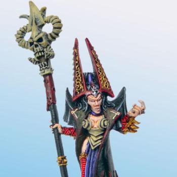 dark elf sorceress by Dakkon Blackfist
