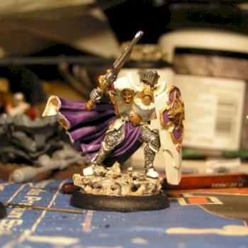 Paladin of the Order of the Wall by Mr,John Doe