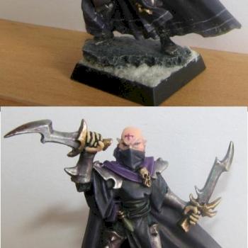Dark Elf Assassin by Palczasty