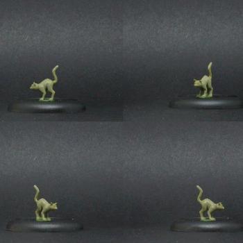 cat by Aenor