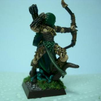 Wood elf lord by wolveab