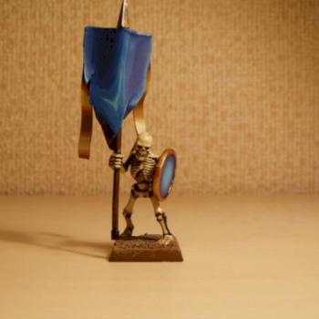 skeletor standard(conwertet) by PoNuRy
