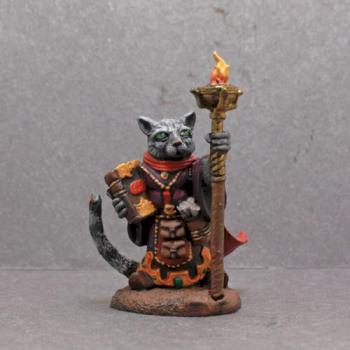 Dark Sword Cat Mage by superbug983