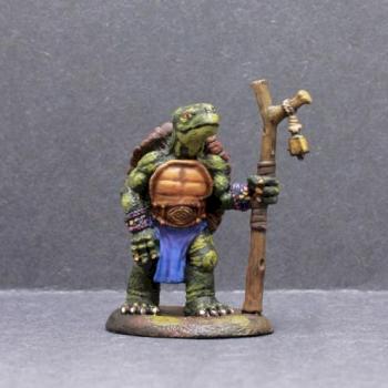 Dark SWord Turtle Druid by superbug983