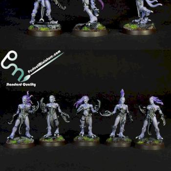 Daemons of Chaos Daemonettes of Slaanesh by perfectminiaturecom