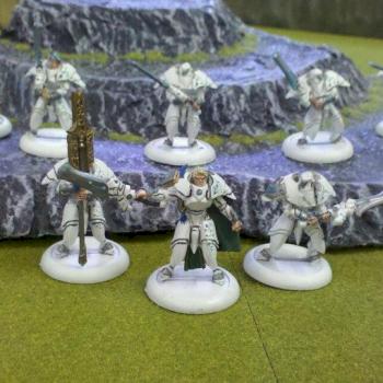 Dawnguard Sentinals with Officer and Standard Bearer by Raevyn