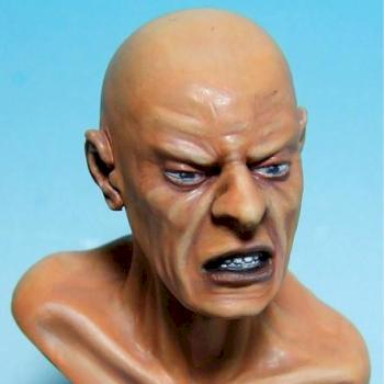1/7 Expressions Bust from Roy Hunt Miniatures by matty1001