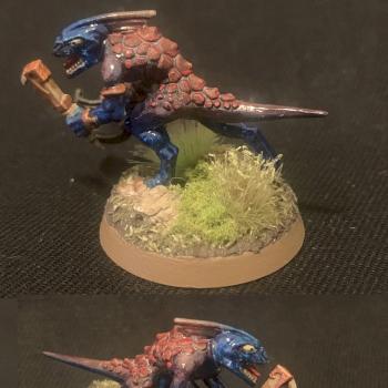 Skink Red and Blue by Tyndareus