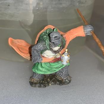 Male Tortle Monk by Nerdmancer