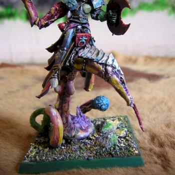 heros sur monture de slaanesh by biancakangou
