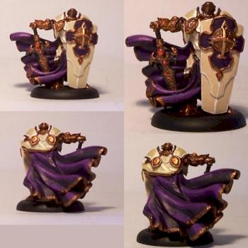 Paladin of the Order of the Wall by ViperX