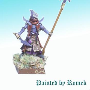 Dark Elves Noble Conversion by focusstudio