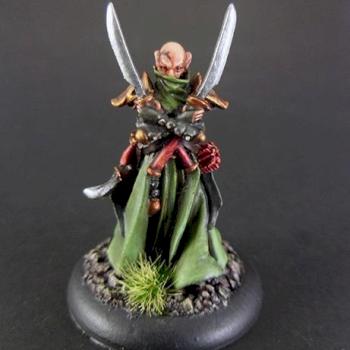 Warmachine Retribution of Scyrah : Narn, Mage hunter of Ios by deathhelm