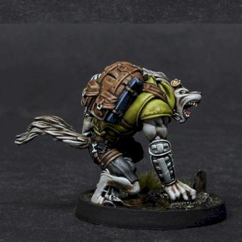 Infinity Ariadna Sergent Lafayette Duroc by BloodyBeast.com