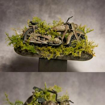 Abandoned Bike by rutrapio