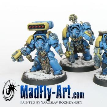 Wolf Guard Terminators by MadFlyArtStudio