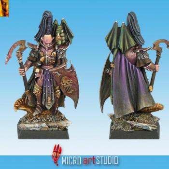 Dark Elf Dreadlord by MiG