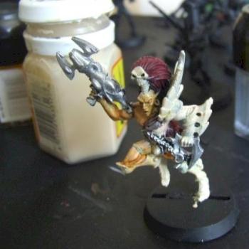 Dark Eldar Wych by Novasry