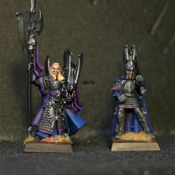 High Elf Caradryan by exocorp