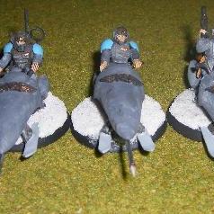 Rough Riders by Phoenix Rising