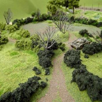 Terrain Feature - Shawn Morris Design by Shawn Morris