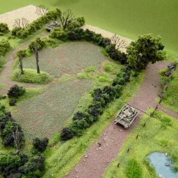 Terrain Feature - Shawn Morris Design by Shawn Morris