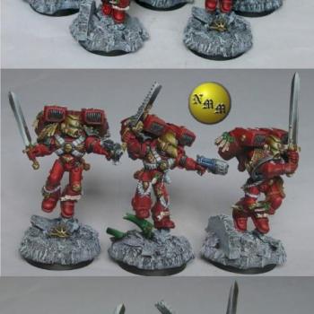 Blood Angel Vanguard veteran squad by nels0nmac