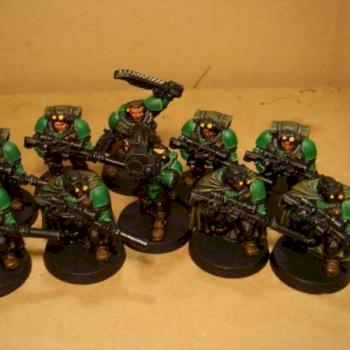 salamander scouts by habu