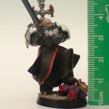 Black Templar Emperor's Champion by The Angel of Death