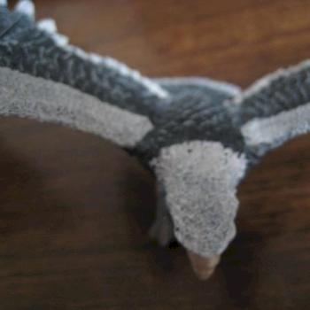 Eagle#2 by A New Hope