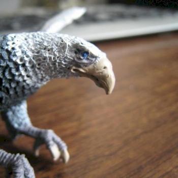 Eagle#3 by A New Hope