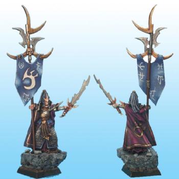 Grande banière Elfes noirs - Dark elves great banner (Limited edition) -  New picture by Naoned