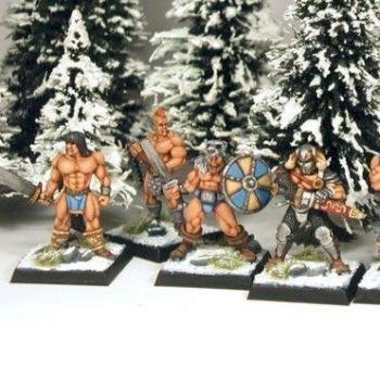 Harlequin Barbarian Warband by witchhunter