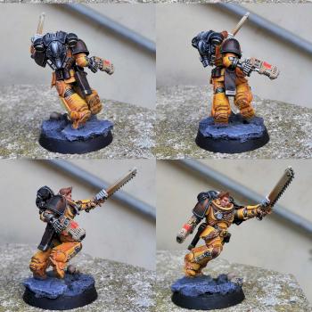 Bear pride color scheme Assault Space-Marine by CerberusXt