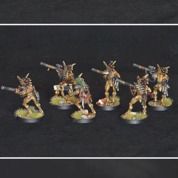 Kroot hunter kindred by Shi Vral