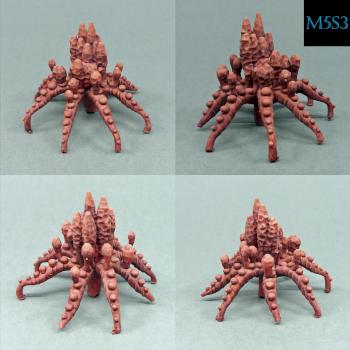 Coral by M5S3